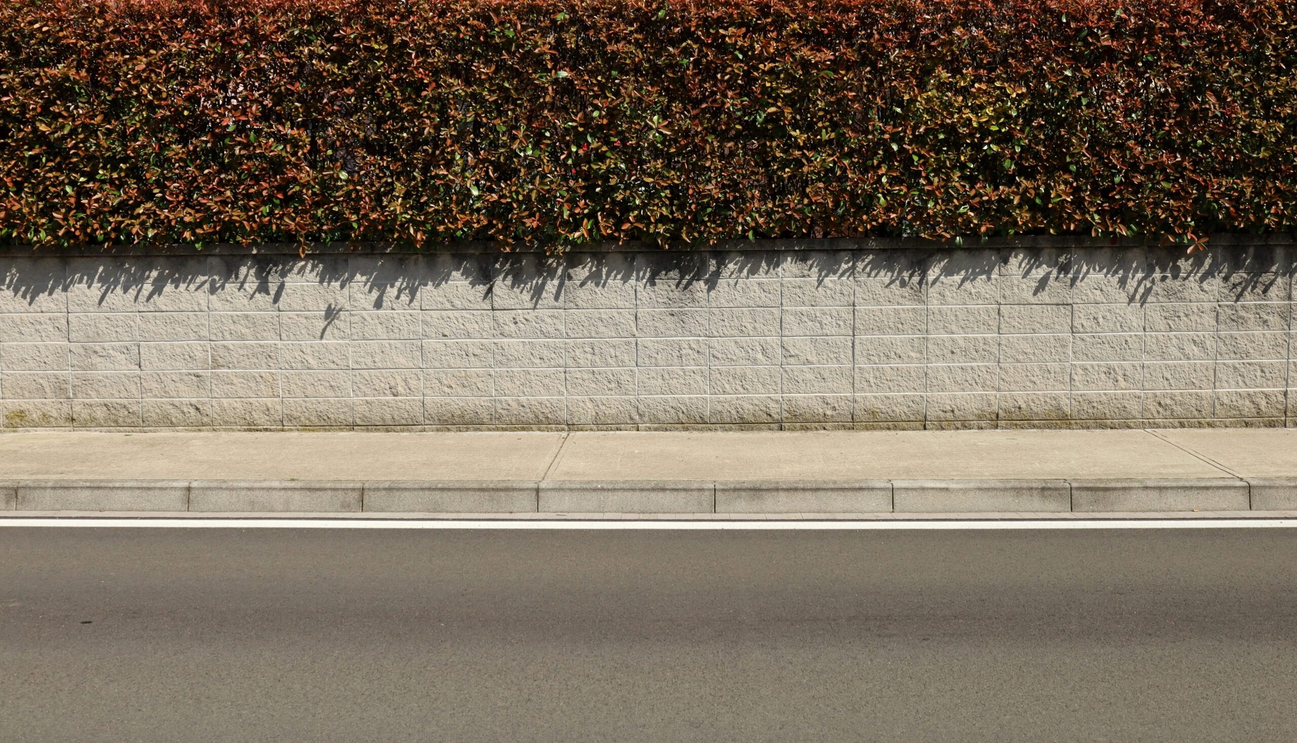 Concrete SideWalk
