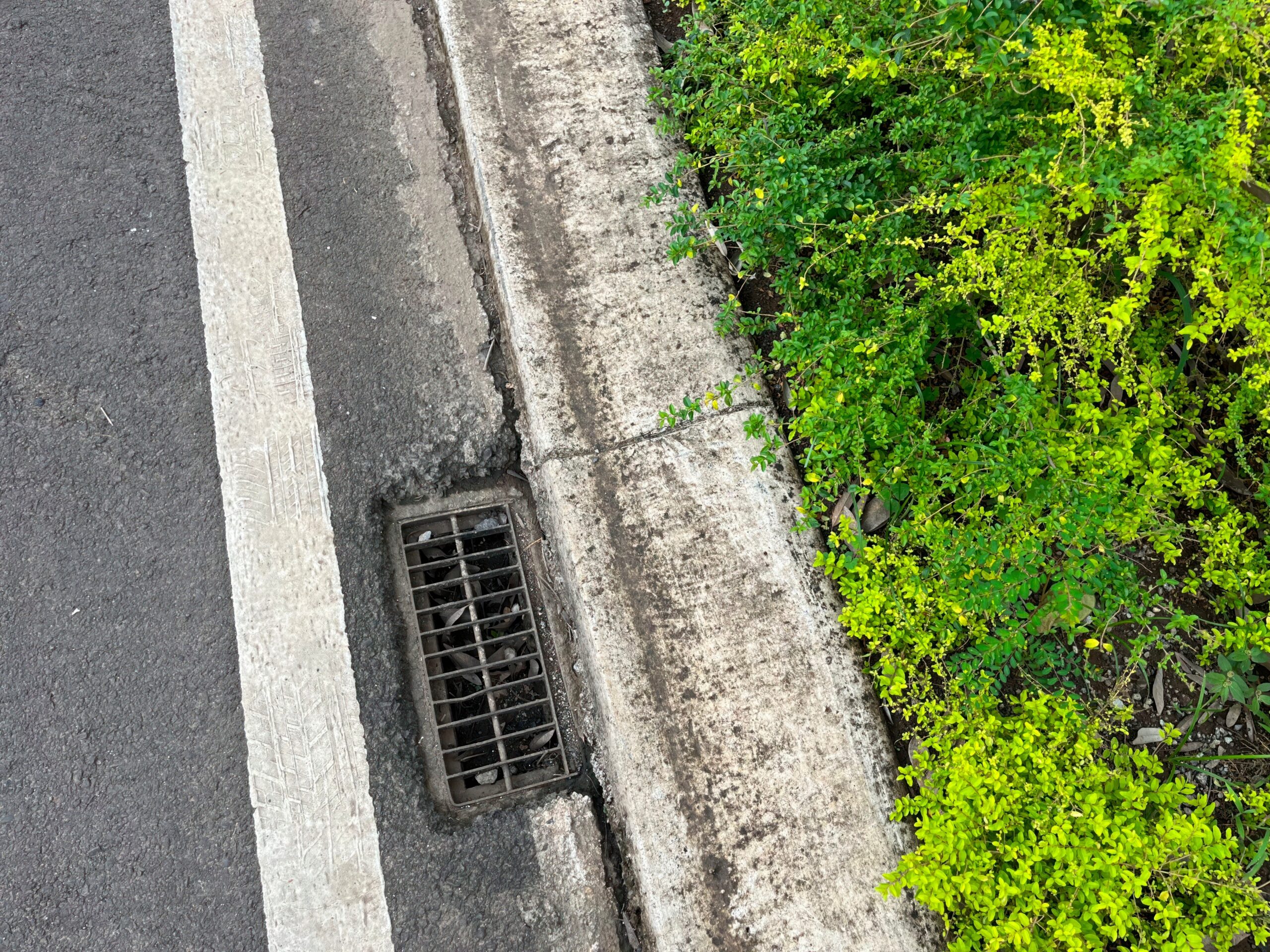 Concrete Grub and Gutter