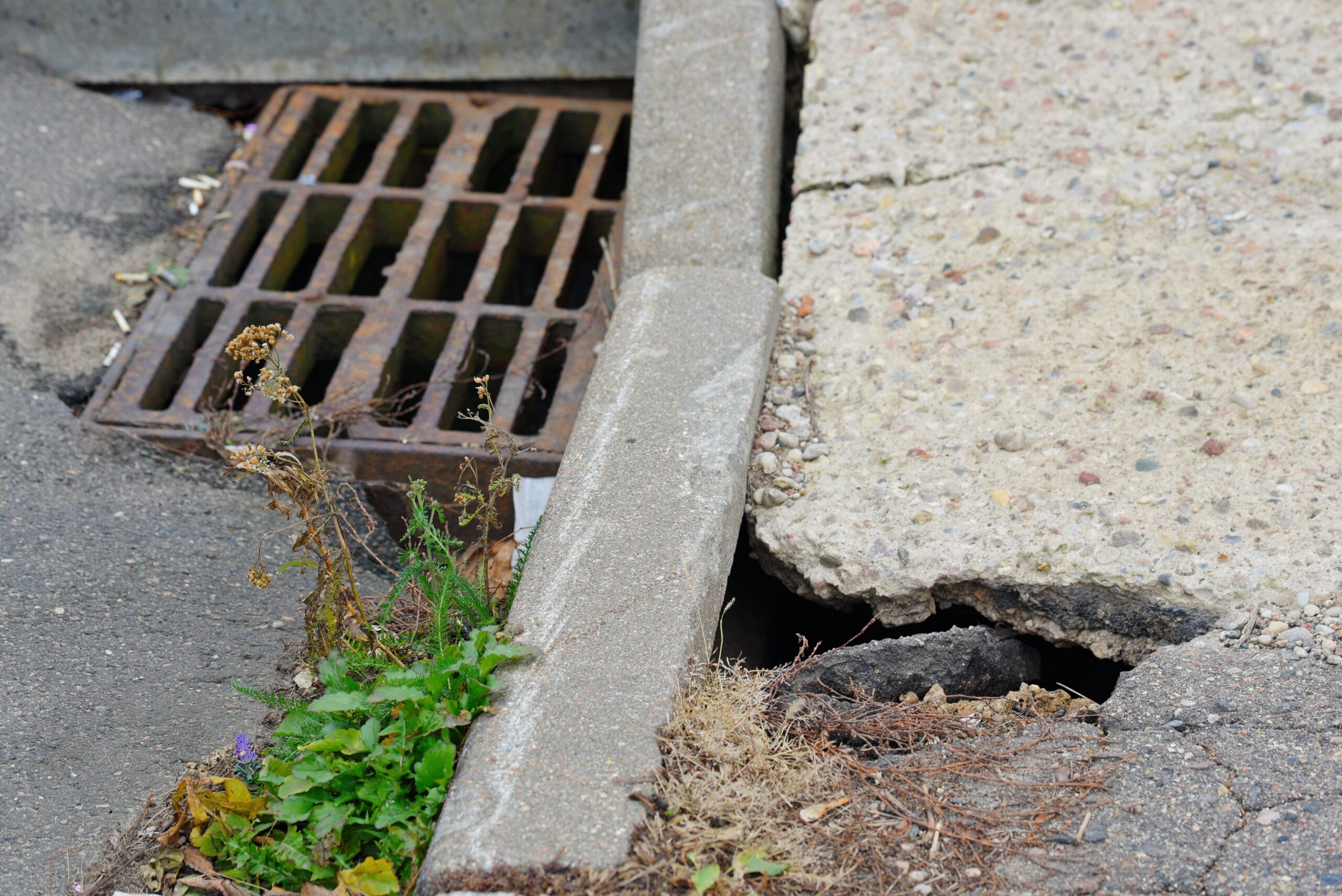 Concrete Grub and Gutter