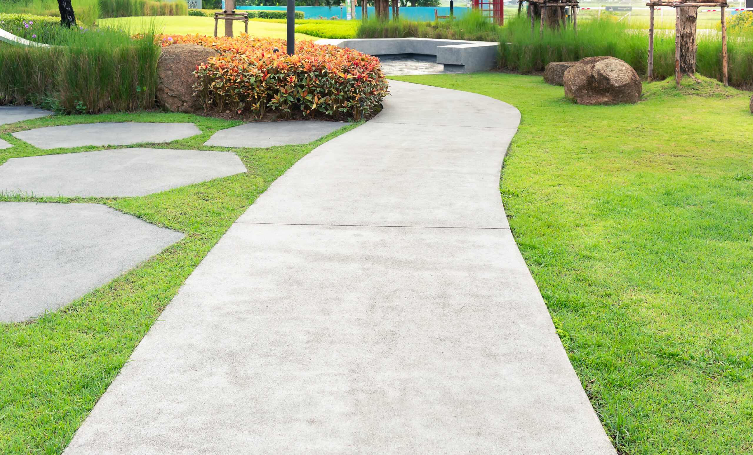 How Tree Roots Affect Sidewalk Stability Over Time